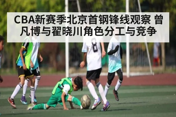 CBA新赛季北京首钢锋线观察 曾凡博与翟晓川角色分工与竞争